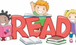 nine foods to prevent memory loss3